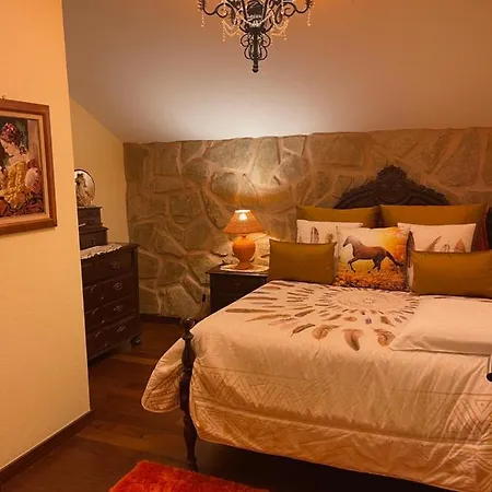 Safari Charm Ribeira Brava