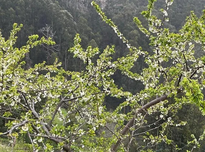 בית נופש Safari Charm