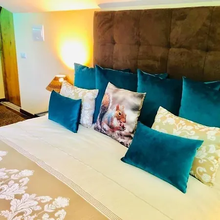 Safari Charm * Ribeira Brava