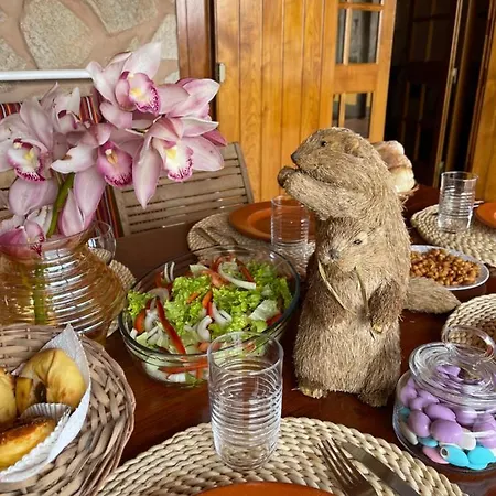 Safari Charm Semesterbostad *