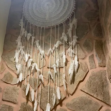 Дом отдыха Safari Charm