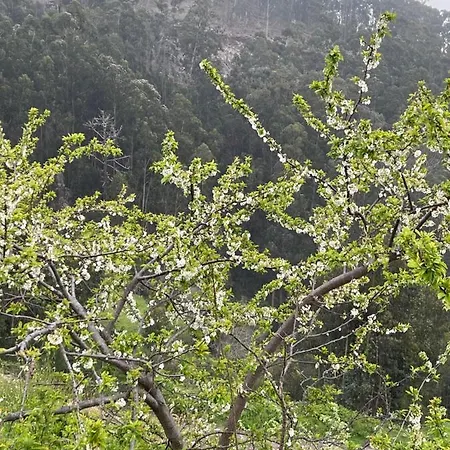 Дом отдыха Safari Charm