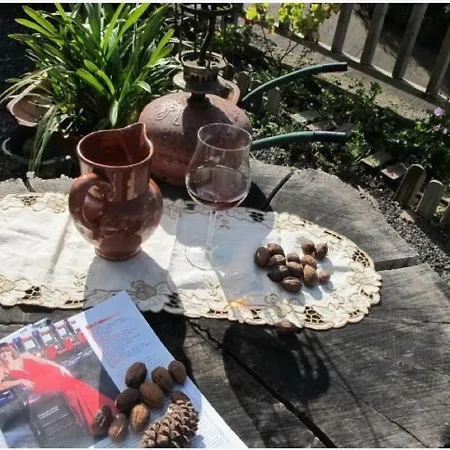 Semesterbostad Safari Charm *