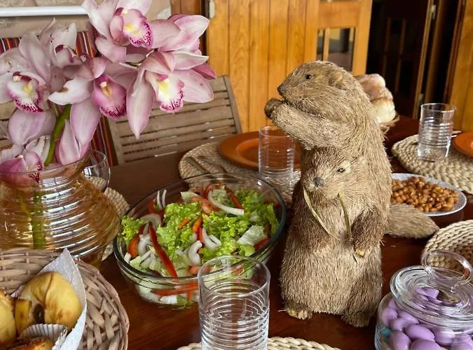 Safari Charm Vakantiehuis *