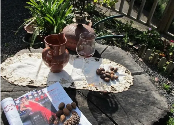 Vakantiehuis Safari Charm *